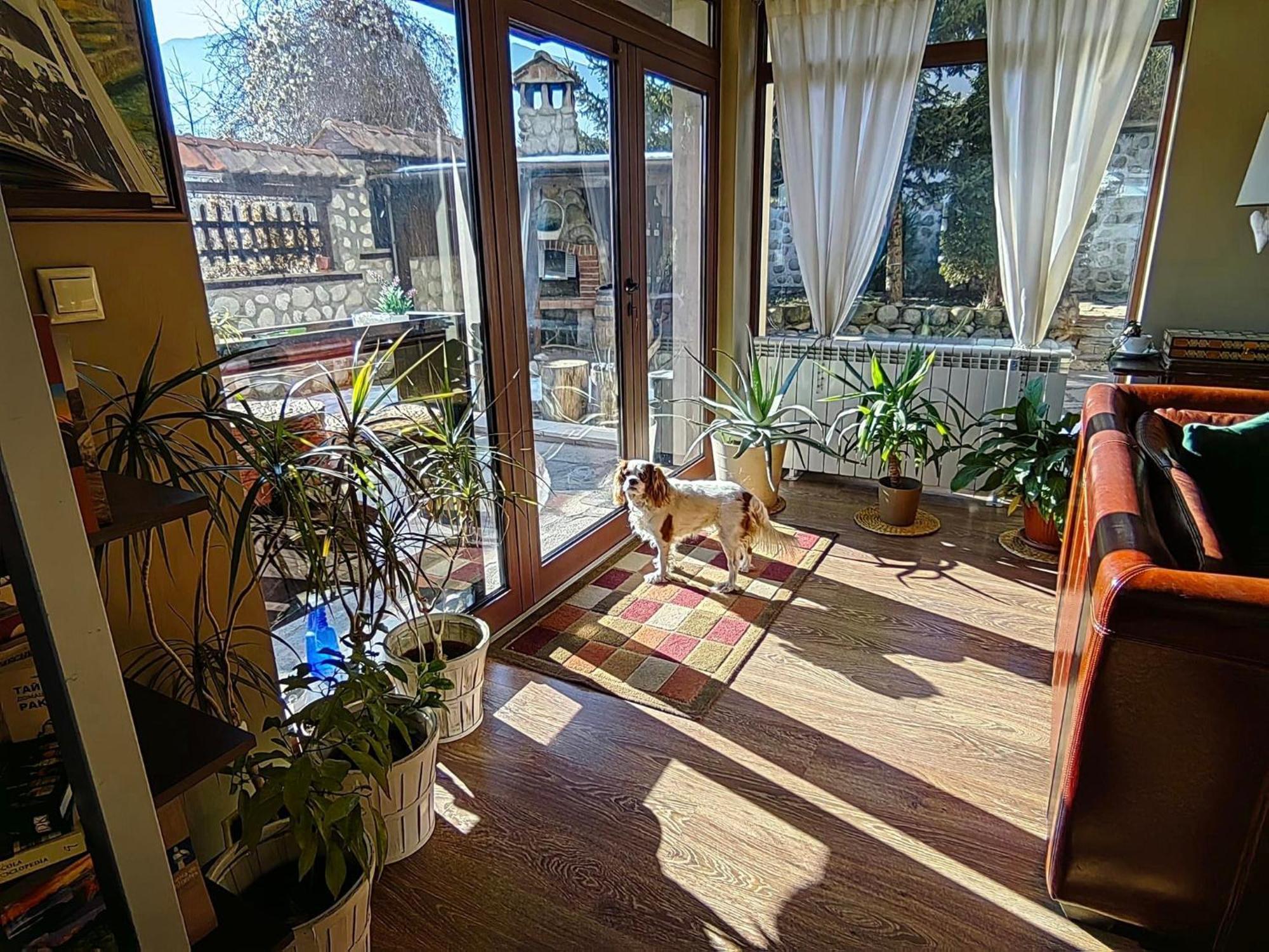 Hotel Famil - Adults Only Bansko Zewnętrze zdjęcie